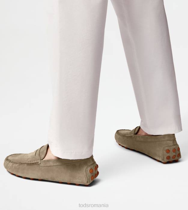 bubble gommino din piele intoarsa bărbați Tod's 080D710 bej/portocaliu