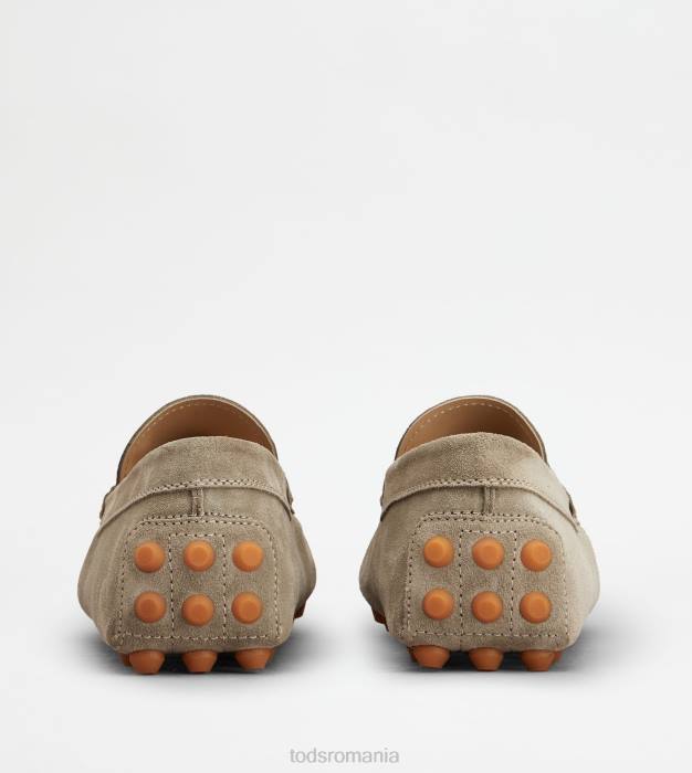 bubble gommino din piele intoarsa bărbați Tod's 080D710 bej/portocaliu