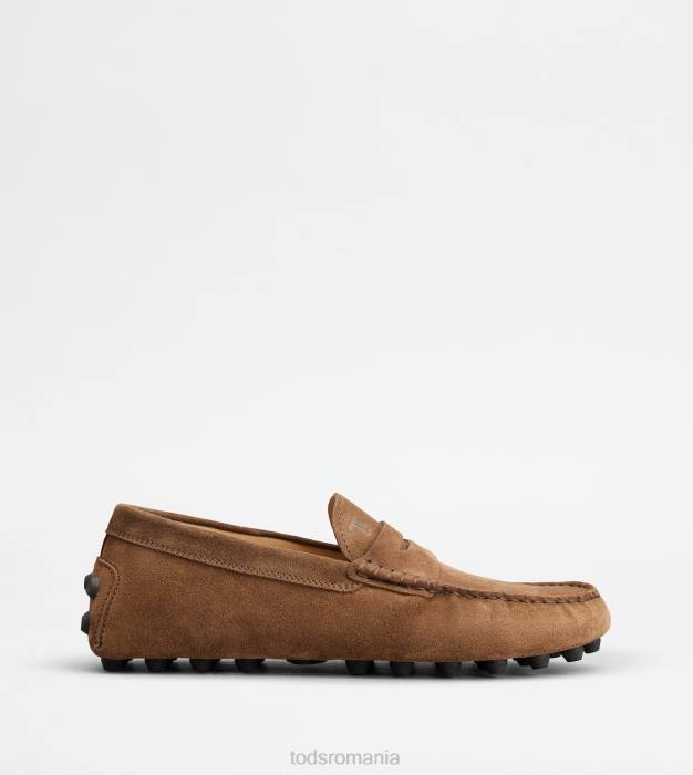bubble gommino din piele intoarsa bărbați Tod's 080D713 maro/gri