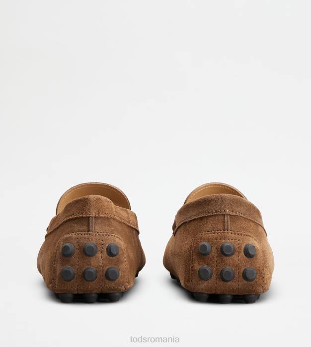bubble gommino din piele intoarsa bărbați Tod's 080D713 maro/gri