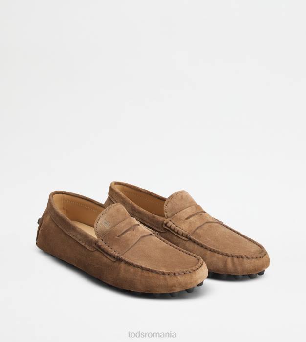 bubble gommino din piele intoarsa bărbați Tod's 080D713 maro/gri