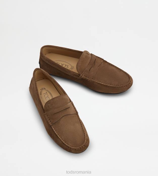 pantofi de conducere city gommino din piele intoarsa bărbați Tod's 080D694 maro
