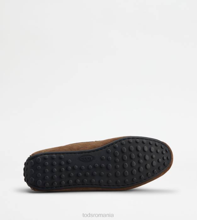 pantofi de conducere city gommino din piele intoarsa bărbați Tod's 080D694 maro