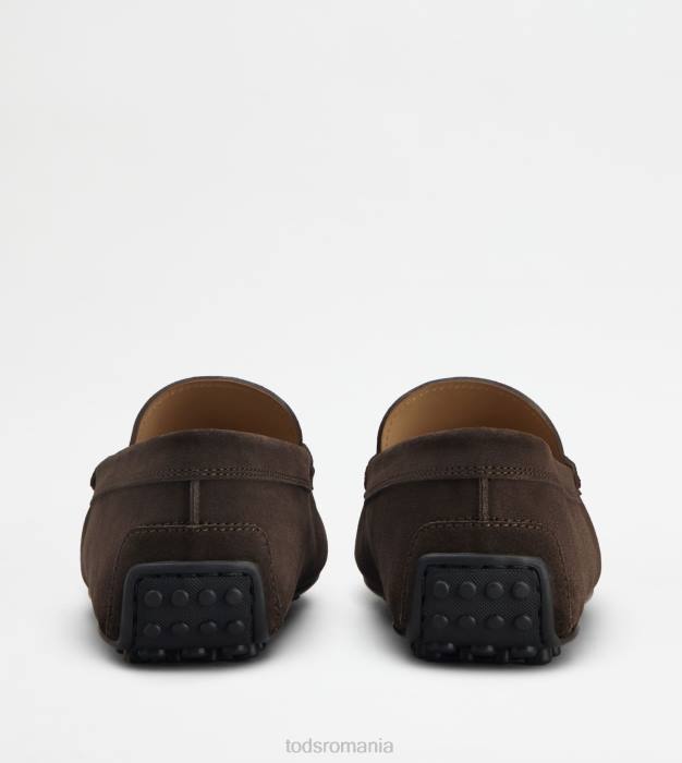 pantofi de conducere city gommino din piele intoarsa bărbați Tod's 080D755 maro