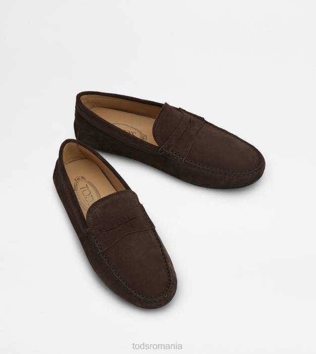pantofi de conducere city gommino din piele intoarsa bărbați Tod's 080D755 maro