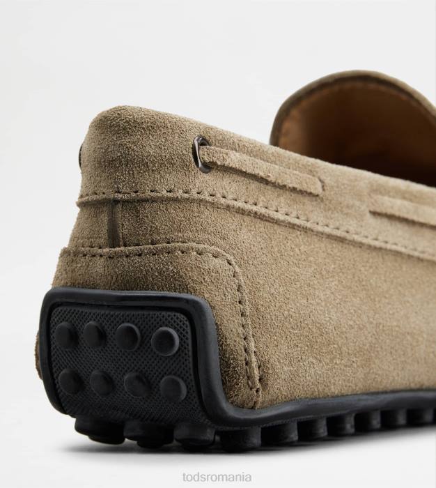 pantofi de conducere city gommino din piele intoarsa bărbați Tod's 080D759 bej