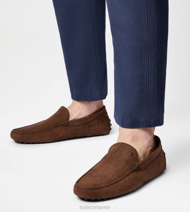 pantofi gommino din nubuc bărbați Tod's 080D724 maro