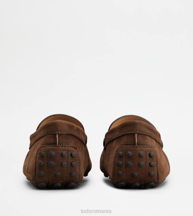 pantofi gommino din nubuc bărbați Tod's 080D724 maro