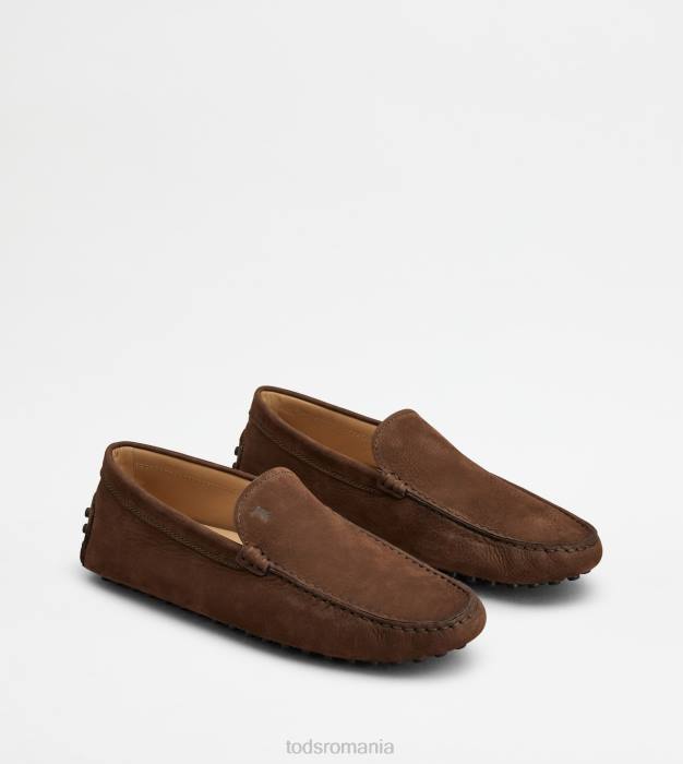 pantofi gommino din nubuc bărbați Tod's 080D724 maro