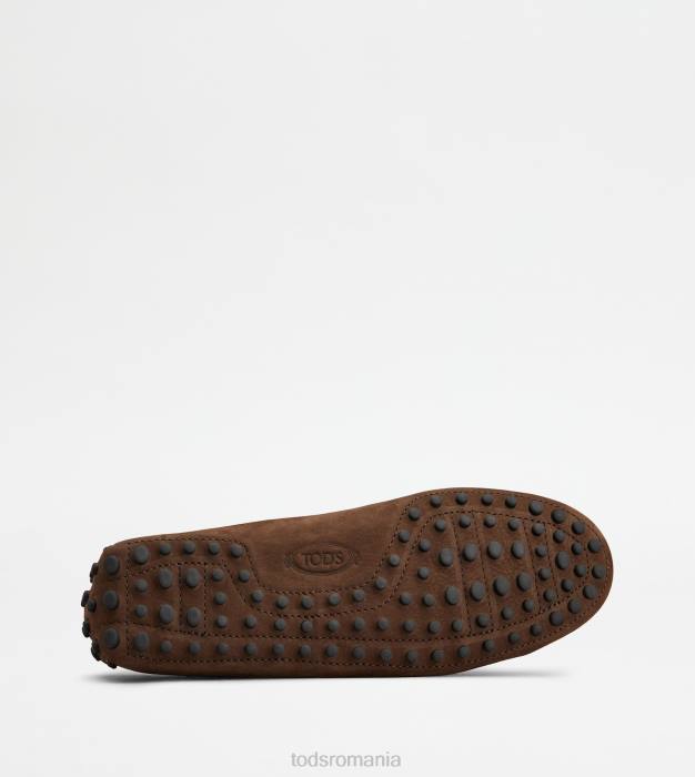 pantofi gommino din nubuc bărbați Tod's 080D724 maro