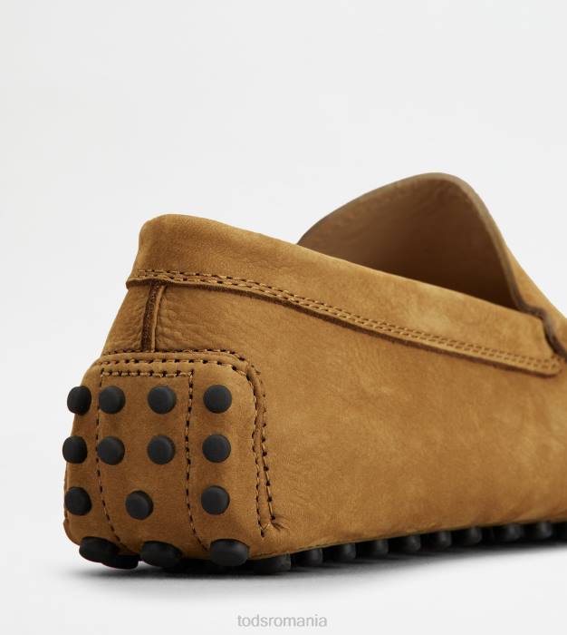 pantofi gommino din nubuc bărbați Tod's 080D763 maro