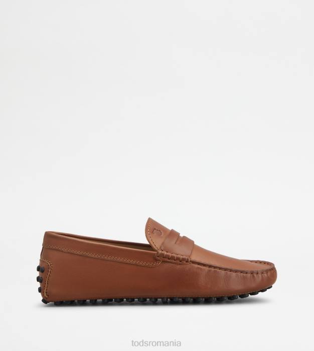 pantofi gommino din piele bărbați Tod's 080D730 maro