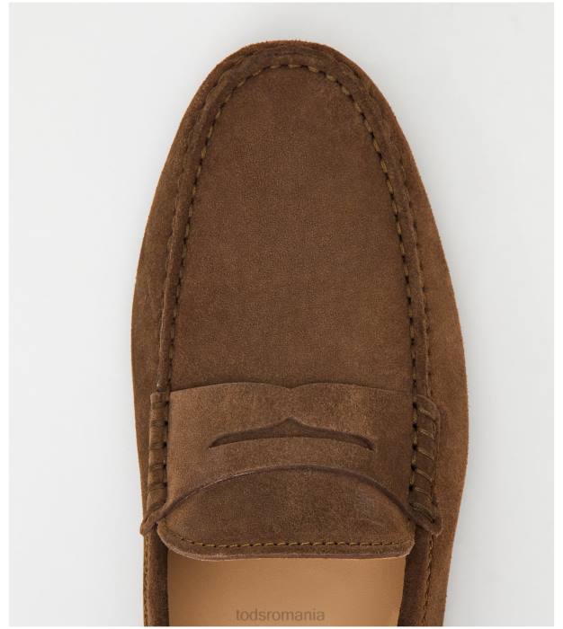 pantofi gommino din piele intoarsa bărbați Tod's 080D732 maro
