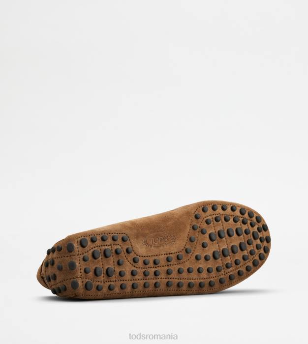 pantofi gommino din piele intoarsa bărbați Tod's 080D732 maro