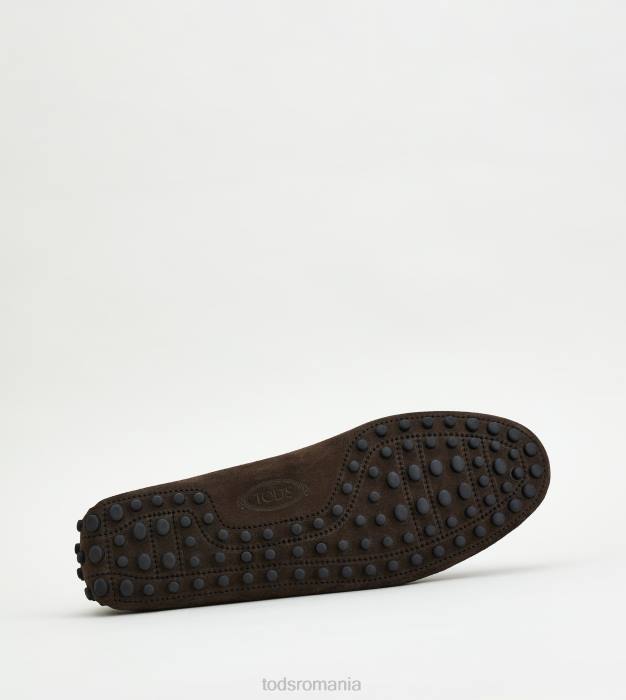pantofi gommino din piele intoarsa bărbați Tod's 080D734 maro