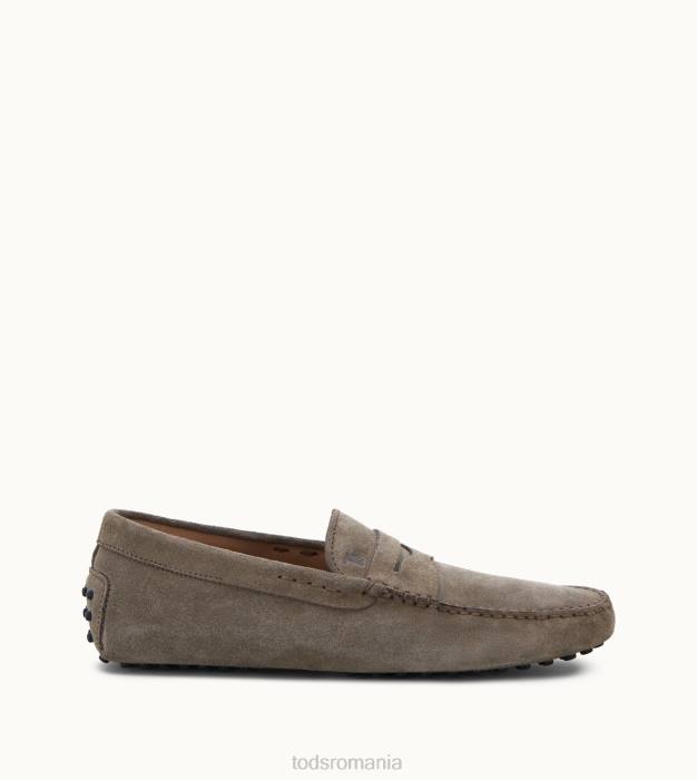 pantofi gommino din piele intoarsa bărbați Tod's 080D735 bej