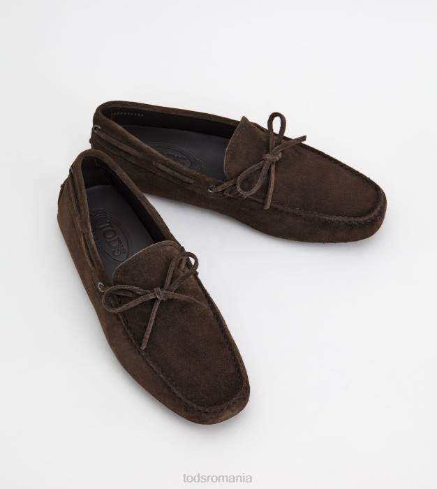 pantofi gommino din piele intoarsa bărbați Tod's 080D742 maro
