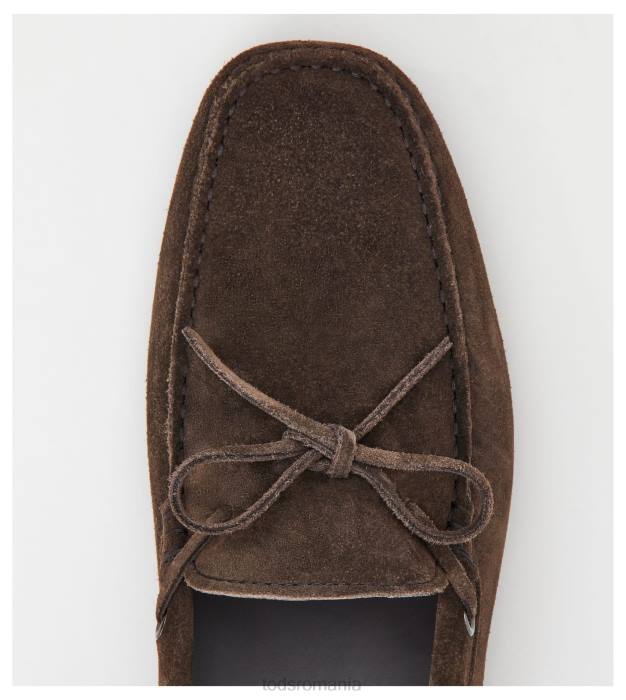 pantofi gommino din piele intoarsa bărbați Tod's 080D742 maro