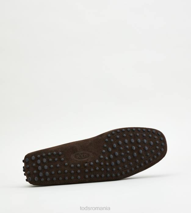 pantofi gommino din piele intoarsa bărbați Tod's 080D742 maro