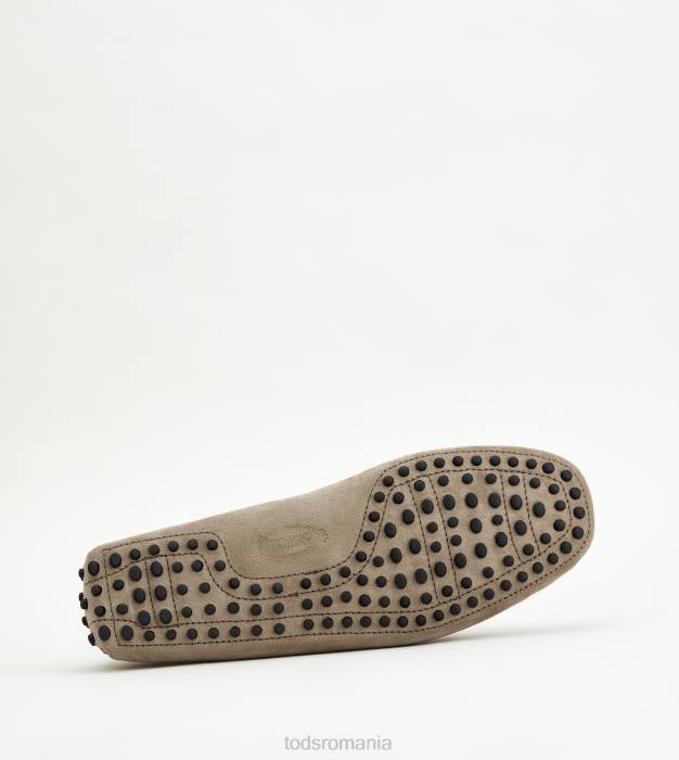 pantofi gommino din piele intoarsa bărbați Tod's 080D747 maro