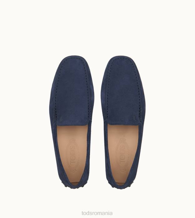 pantofi gommino din piele intoarsa bărbați Tod's 080D761 albastru