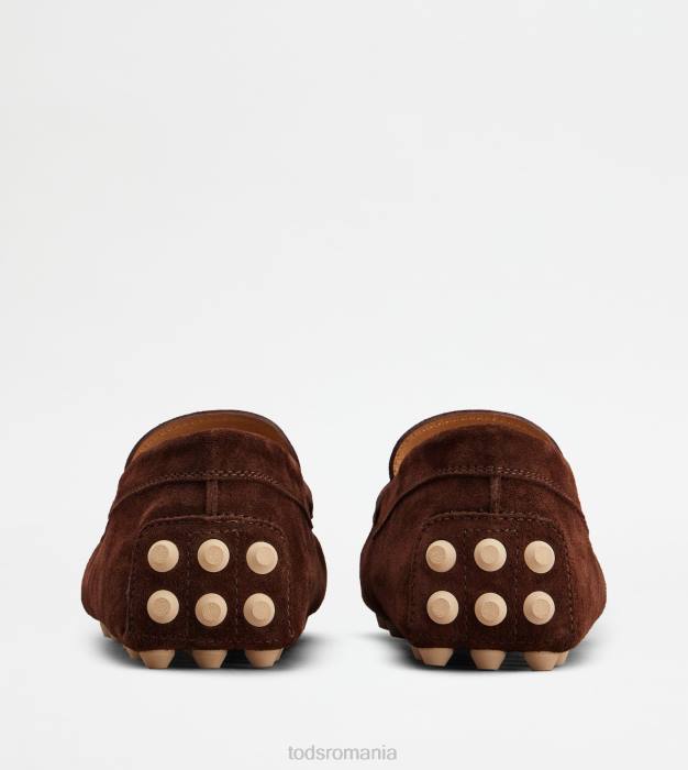 t bubble gommino atemporal din piele intoarsa bărbați Tod's 080D718 maro/bej