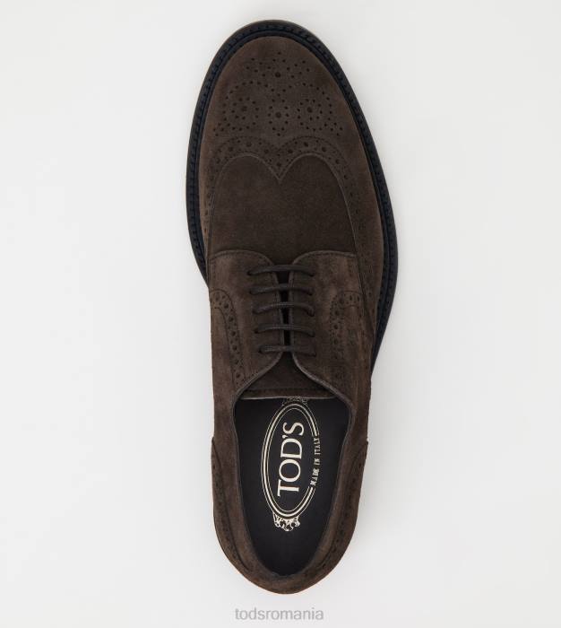 siret din piele intoarsa bărbați Tod's 080D819 maro