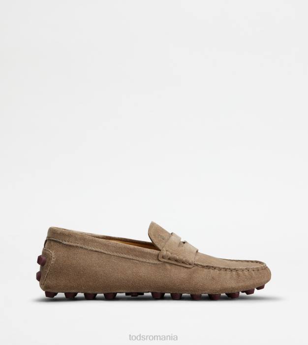 bubble gommino din piele intoarsa femei Tod's 080D86 maro/visiniu