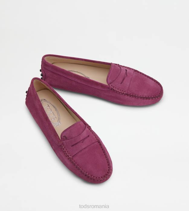 pantofi gommino din piele intoarsa femei Tod's 080D102 violet