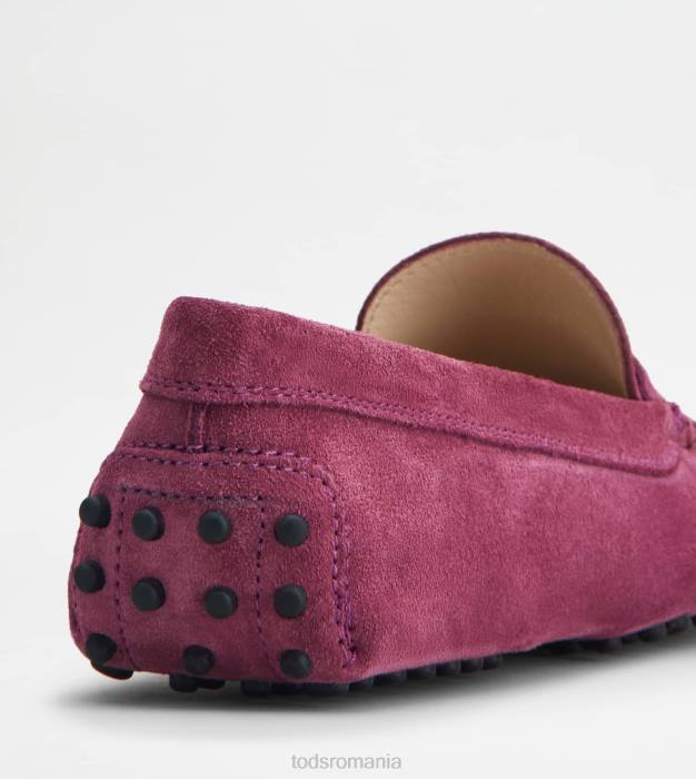 pantofi gommino din piele intoarsa femei Tod's 080D102 violet