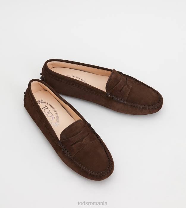 pantofi gommino din piele intoarsa femei Tod's 080D105 maro