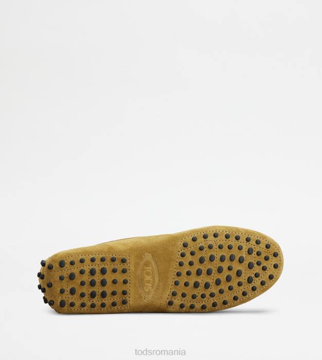 pantofi gommino din piele intoarsa femei Tod's 080D107 verde