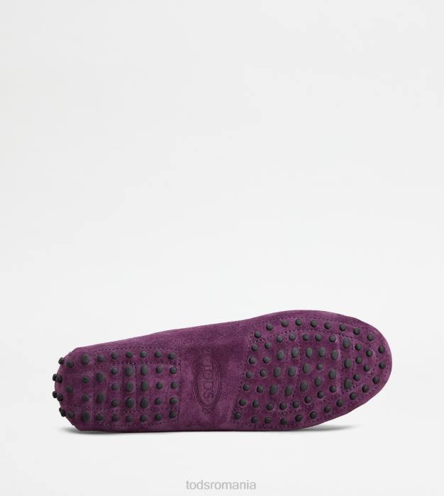 pantofi gommino din piele intoarsa femei Tod's 080D112 violet