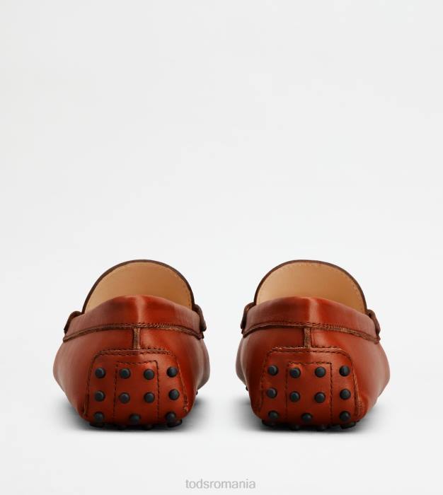 t pantofi gommino atemporal din piele femei Tod's 080D101 maro