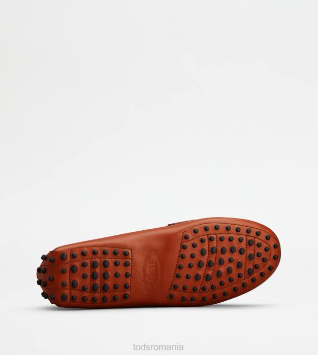 t pantofi gommino atemporal din piele femei Tod's 080D101 maro